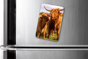 To buy a print or any of the below please click on the images